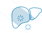 icon_HRI